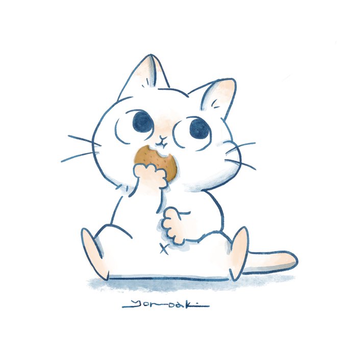 「サイン 白い猫」のTwitter画像/イラスト(新着)｜3ページ目