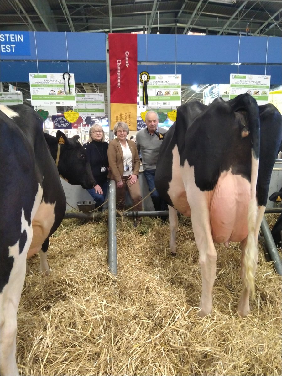 DegosDominique's tweet photo. Félicitations à Michel et Danielle Ducasse pour le prix de Grande Championne du concours Prim'holstein obtenu hier soir par Jaka au Salon de l'agriculture !
#primholstein #departementdeslandes https://t.co/z9ITHZhrb1