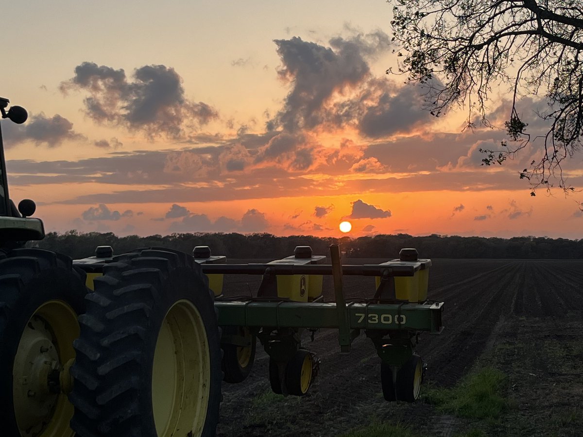 Chris Goerig tweet media