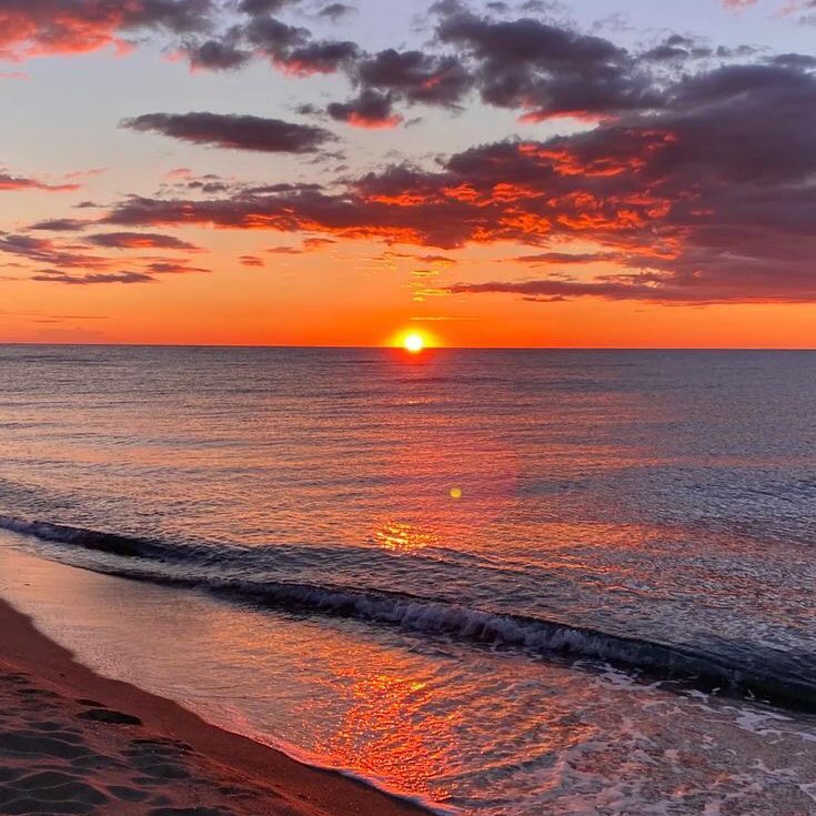 violettweets_'s tweet photo. wanna watch the sunset with you. https://t.co/d9lHYREuPo