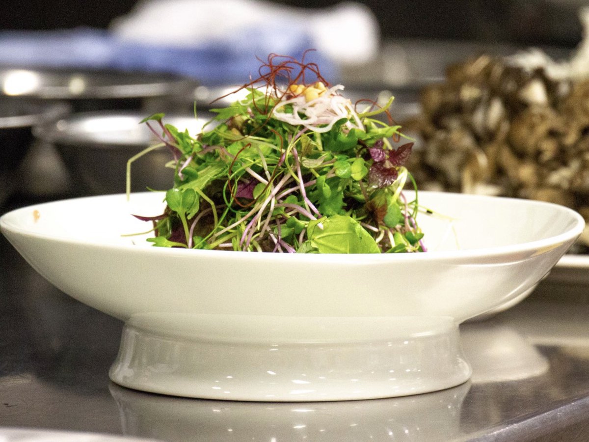 Chef struggling with salad orders ? 
Poor quality arriving ? 
Take control, make that change ! 
Fresh living micro salads 

#chef #saladmenu #nextlevelchefuk #yncoty #tsclive #ncoty #scothot2023 #foodinspiration #plantbased #hrc23 #chefs