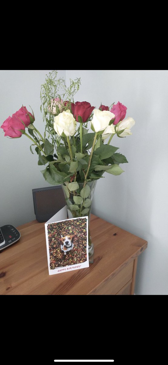 emzy_mae98's tweet photo. Do not buy flowers from @MoonpigUK the purple flowers were what I ordered for £24!!!!!!!! And the sad excuse for roses were what was received…. Which came a little worse for wear. Joke. https://t.co/Esfe6C2fN7