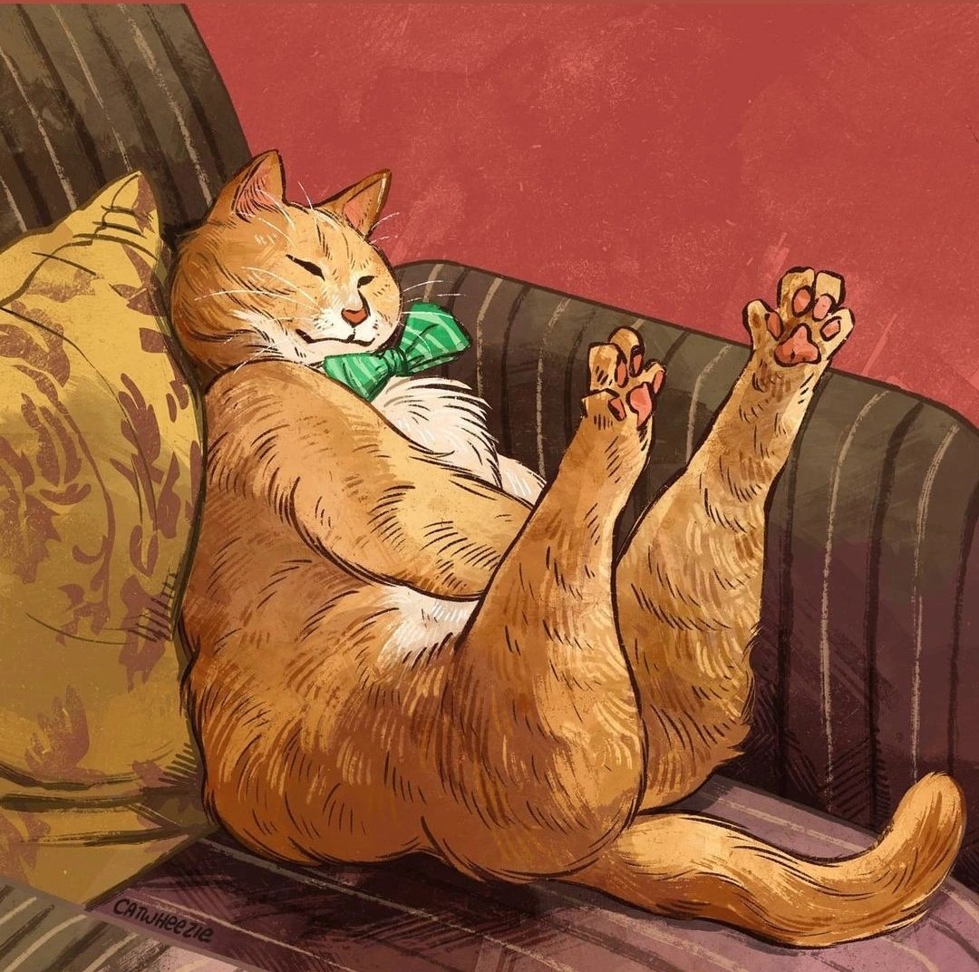 catwheezie's tweet image. Stretching the feets!
