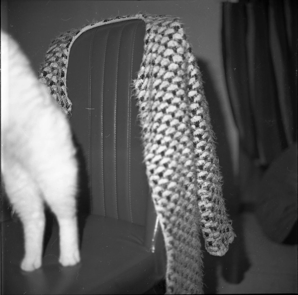 如果秦始皇还活着，看到有这么多闲人，长城最少还能再修五万里。