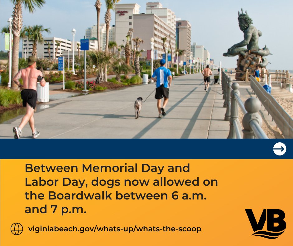 Virginia Beach on Twitter "Between Memorial Day & Labor Day, leashed