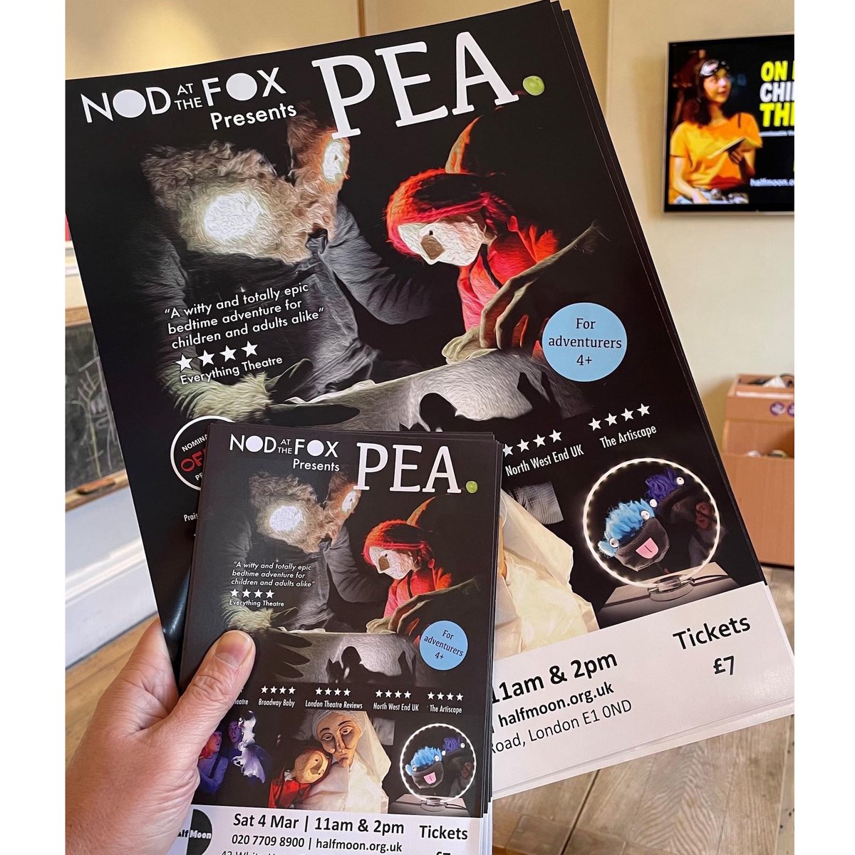 Nod At The Fox tweet media