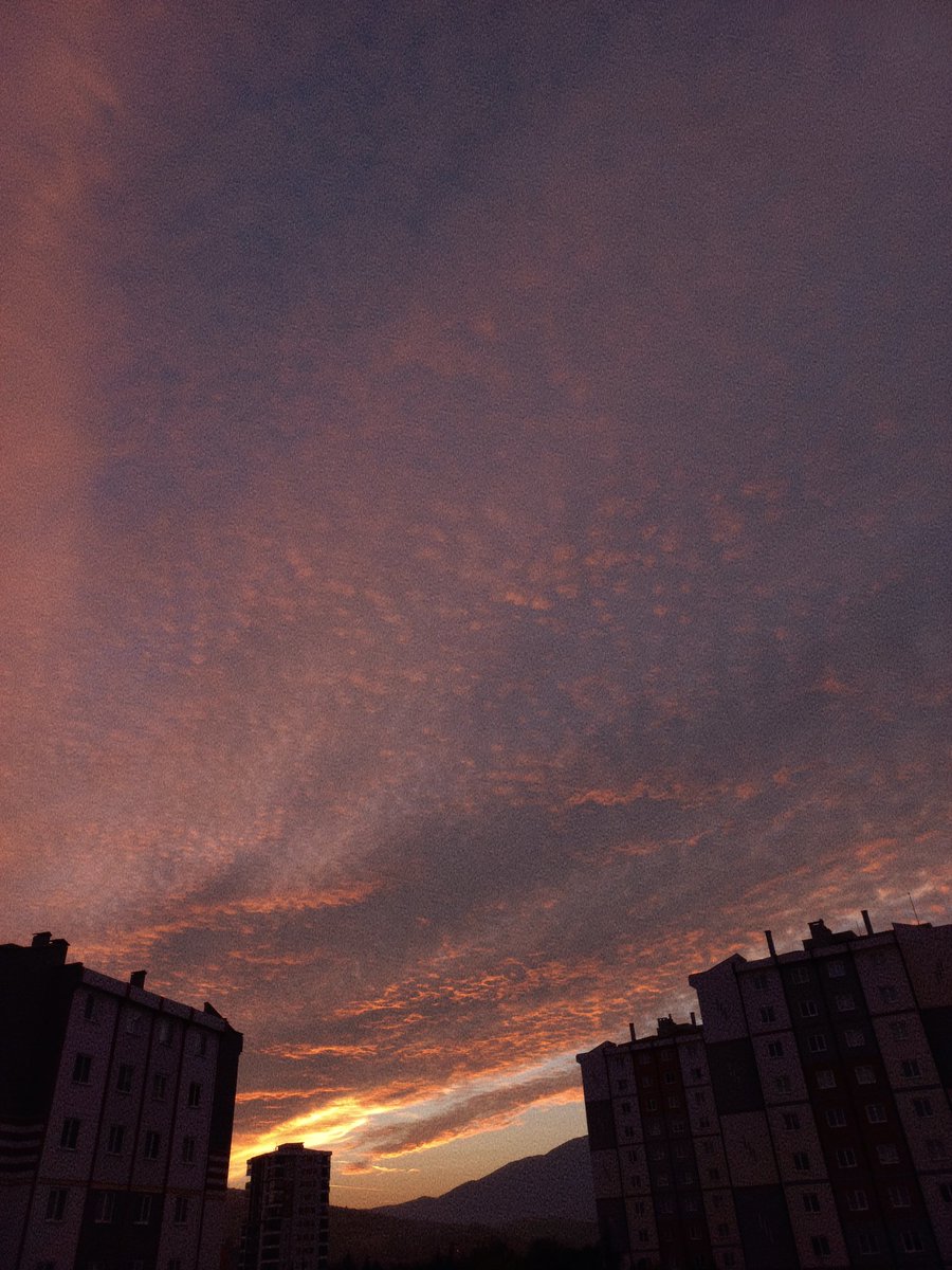 zeycanatan's tweet photo. @aygibisen https://t.co/bnTki4JYdl
