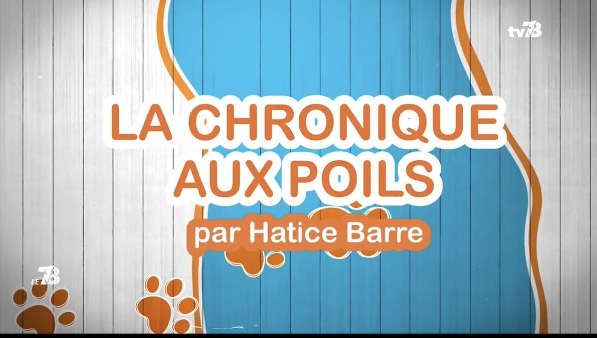 HaticeBarre's tweet photo. Focus sur la remise du label "ville amie des animaux"par la @iledefrance sur @TV78Officiel @Pcarmouze https://t.co/DXsE0CYa3N