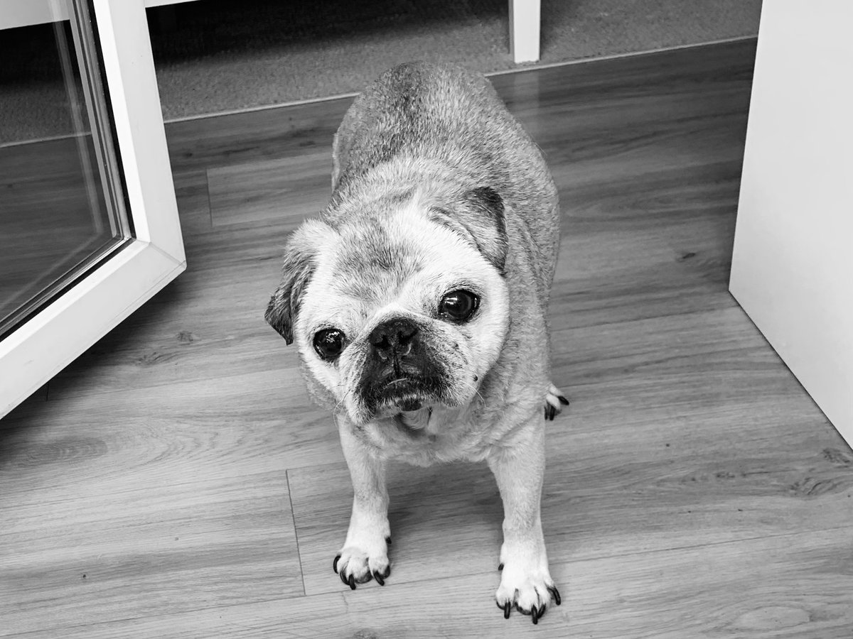 Alexander Zeitler 💻🏭 tweet media