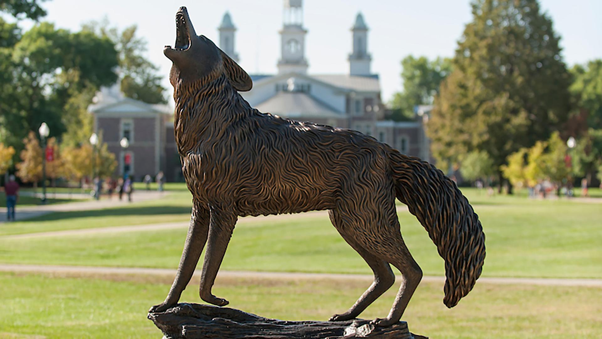 South Dakota Coyotes (SDCoyotes) / Twitter