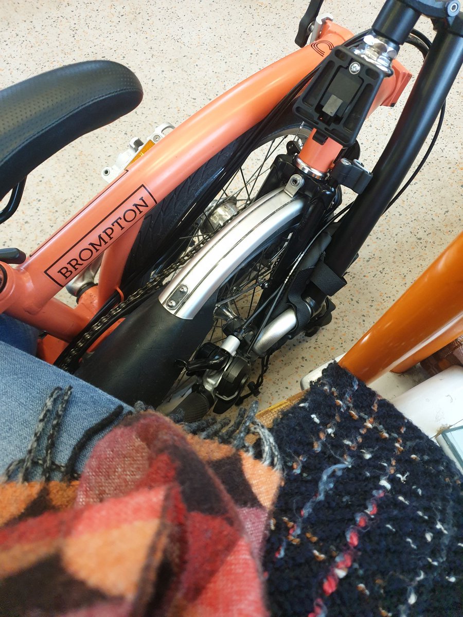 Clover Summers tweet media