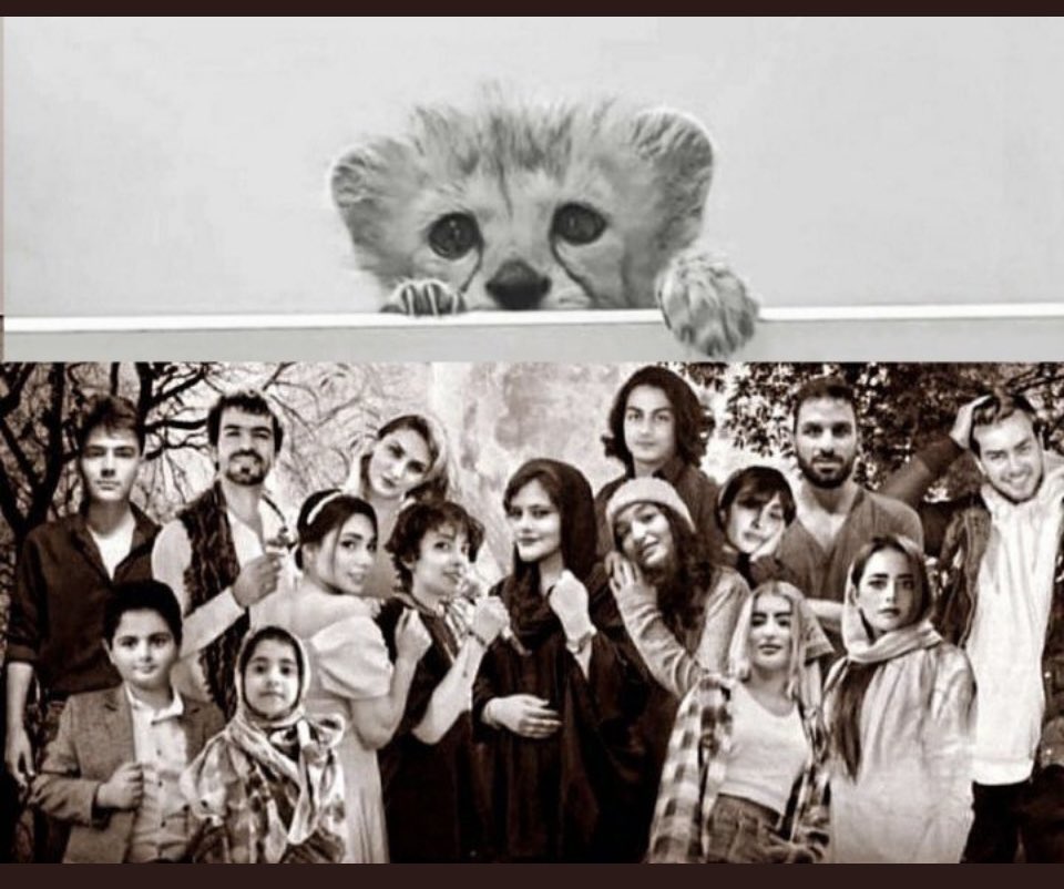 chosravi's tweet image. #RezaPahkaviIsMyRepresentative 
پیروز و پیروزی آور ها رو کشتن 😢
ای کاش در بیشه بی لیاقت ترین، بی معرفت ترین، بی وجدانترین و پر مدعا ترین ، بی رحم ترین حاکمان تاریخ تاریخ به دنیا نمی اومدی …..💚😢