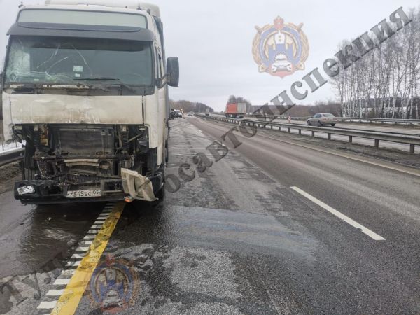 Тульские новости tweet media