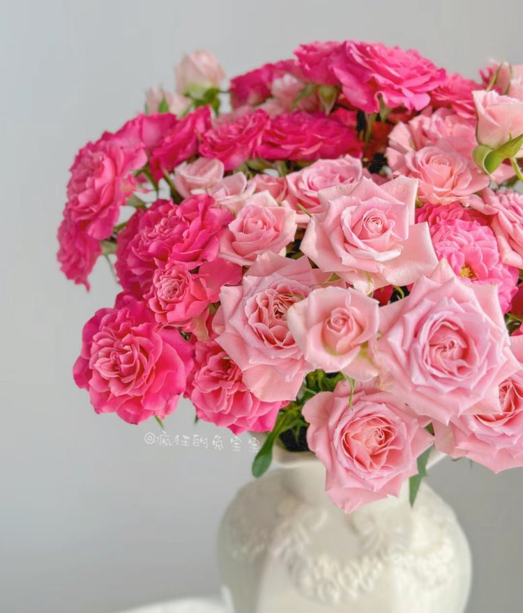 piinkibun's tweet photo. pink flowers <3 https://t.co/V39VNt6E2h