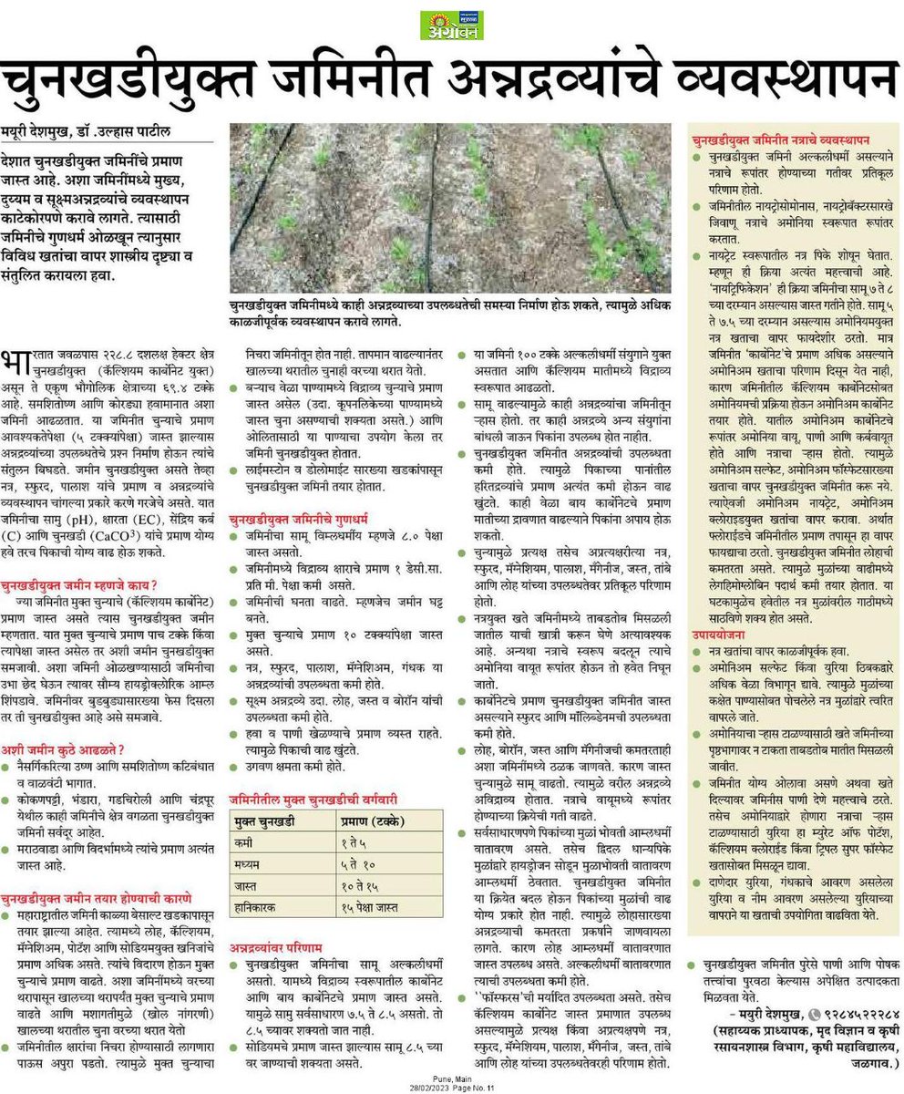 funnashik's tweet image. InfoNashik: चुनखडीयुक्त जमिनीत अन्नद्रव्यांचे व्यवस्थापन
#Nashik #Calcareous #foodstuff #land #Management