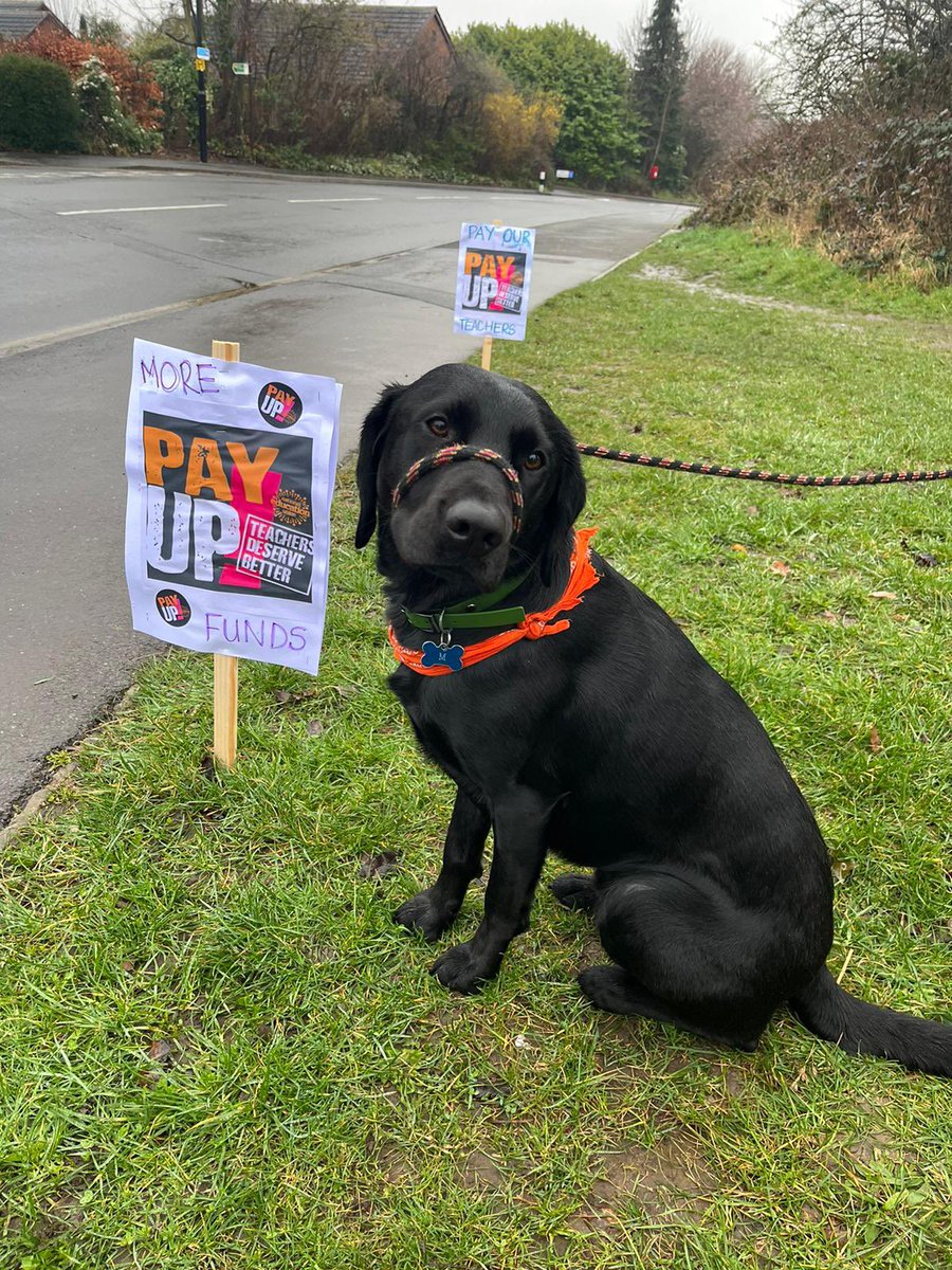Murphy taking action today! <a href="/NEUnion/">National Education Union</a> #payup #TeacherStrike