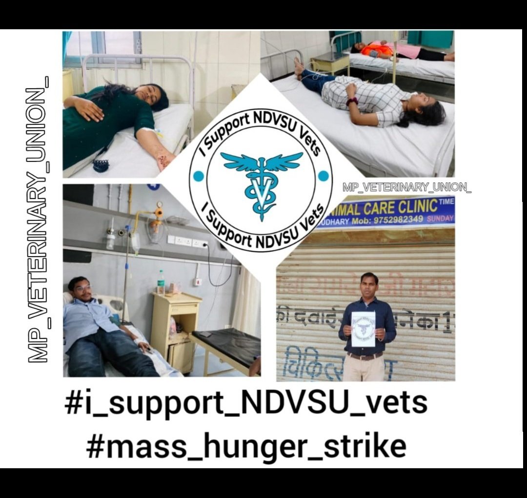 maleficent1221's tweet photo. Mass hunger strike day 2 is about to be completed, when will we get justice? 
#i_support_NDVSU_vets
#mass_hunger_strike https://t.co/iSi75CSeYc