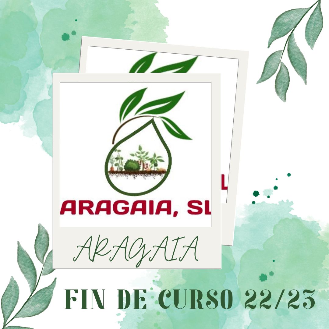 Desde Aragaia anunciamos el cese de actividad por motivo de fin curso.
Os esperamos en el curso 23/24.

Gracias por confiar en nosotros,
Aragaia. S.L.S