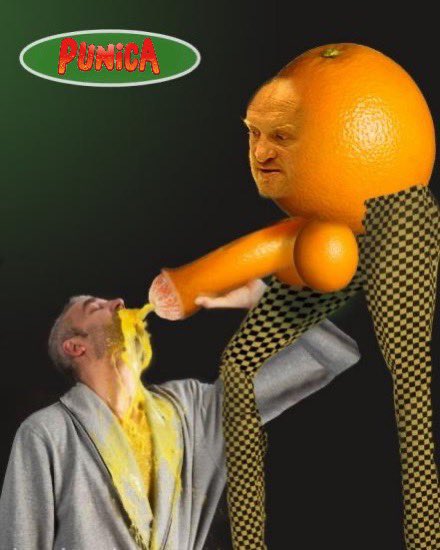 punicaDE's tweet photo. https://t.co/MCjuQdv67v
