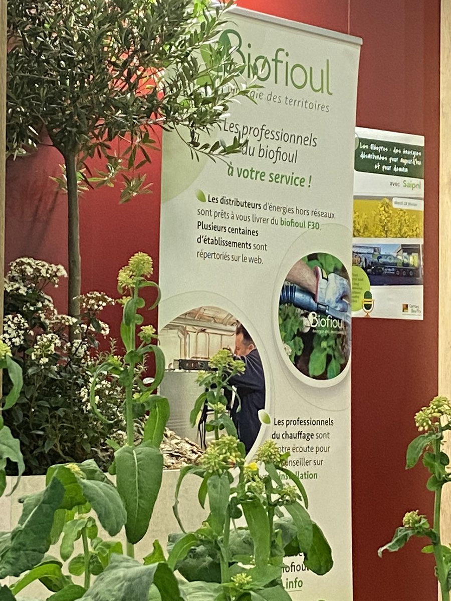 biofioul's tweet photo. #Biofioul vous donne rendez-vous aujourd’hui au @Salondelagri, hall 2.2 à l’invitation de la filière française des #huiles et #proteines végétales. Grand merci à @terresoleopro et aux #agriculteurs qui nous accueillent !❤️❤️❤️ https://t.co/V5Crdryngk
