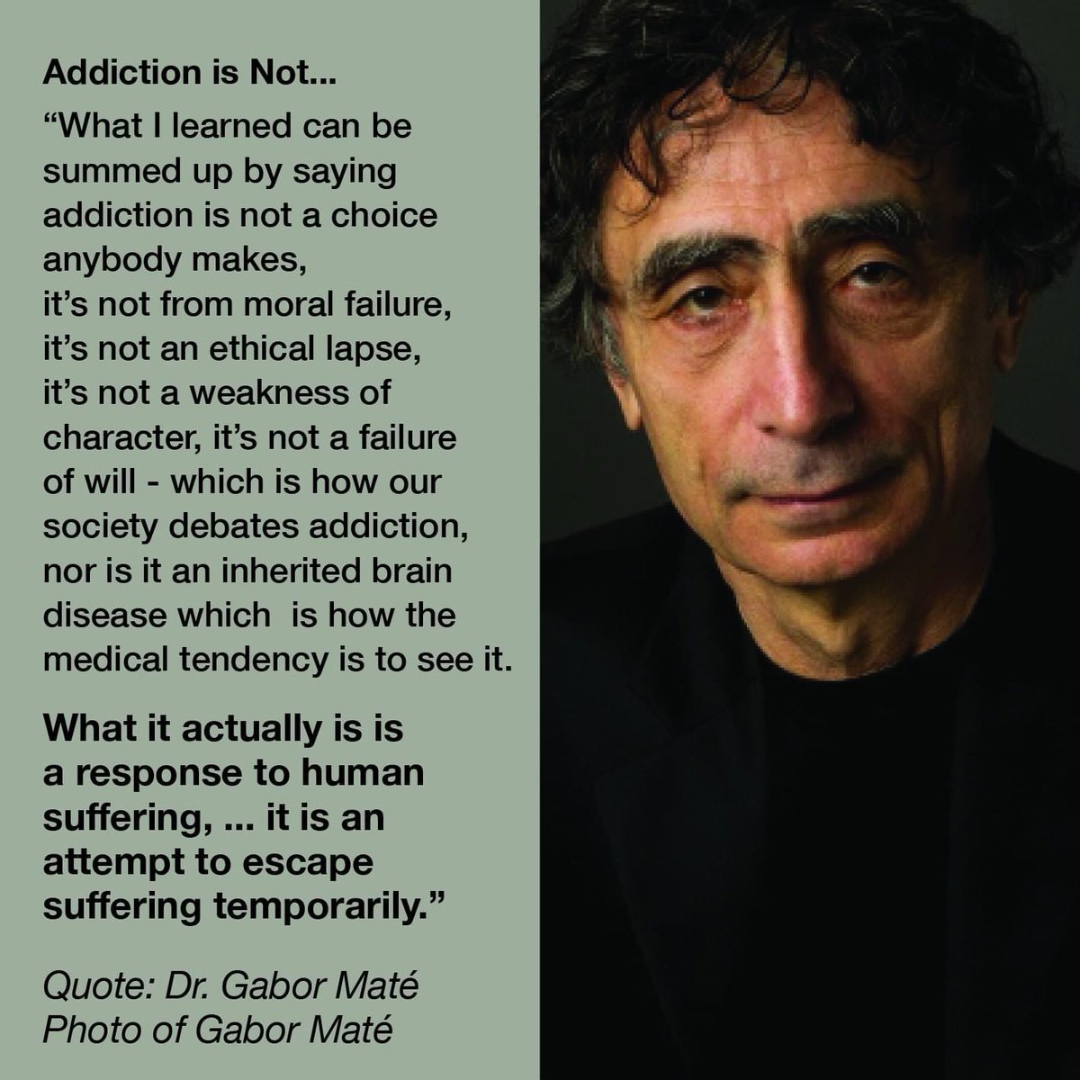 'What I learned can be summed up by saying addiction is not a choice anybody makes, it's not from moral failure, it's not an ethical lapse, it's not a weakness of character, it's not a failure of will …” 

#stress #ACEs #trauma #addiction #substancemisuse #counselling #gabormate
