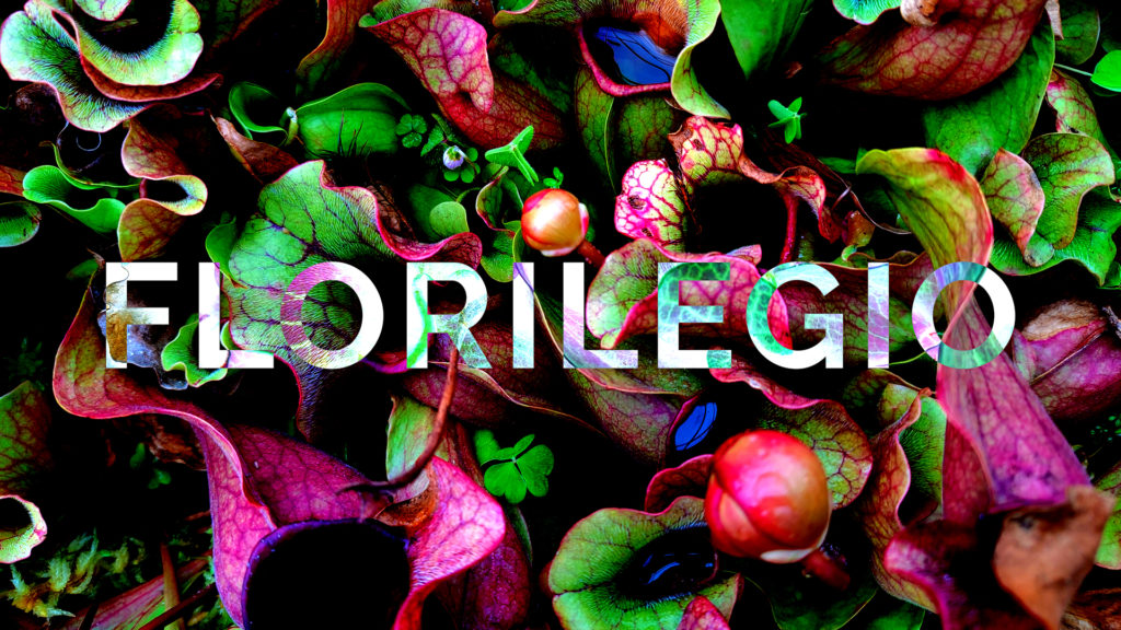 Florilegio (@florilegioblog) on Twitter photo (((((((( ゜□゜)ノF L O R I L E G I OノM I X T A P Eノ 1 2ノfor Free Form Freakout feat: <a href="/NadahElShazly/">Nadah El Shazly</a> @QuintaMakes <a href="/chunyinrainbow/">雋然 Chun Yin Rainbow Chan</a> & more (((((((( ゜□゜)ノ
freeformfreakout.com/florilegio-mix… (((((((( ゜□゜)ノF L O R I L E G I OノM I X T A P Eノ 1 2ノfor Free Form Freakout feat: <a href="/NadahElShazly/">Nadah El Shazly</a> @QuintaMakes <a href="/chunyinrainbow/">雋然 Chun Yin Rainbow Chan</a> & more (((((((( ゜□゜)ノ
freeformfreakout.com/florilegio-mix…