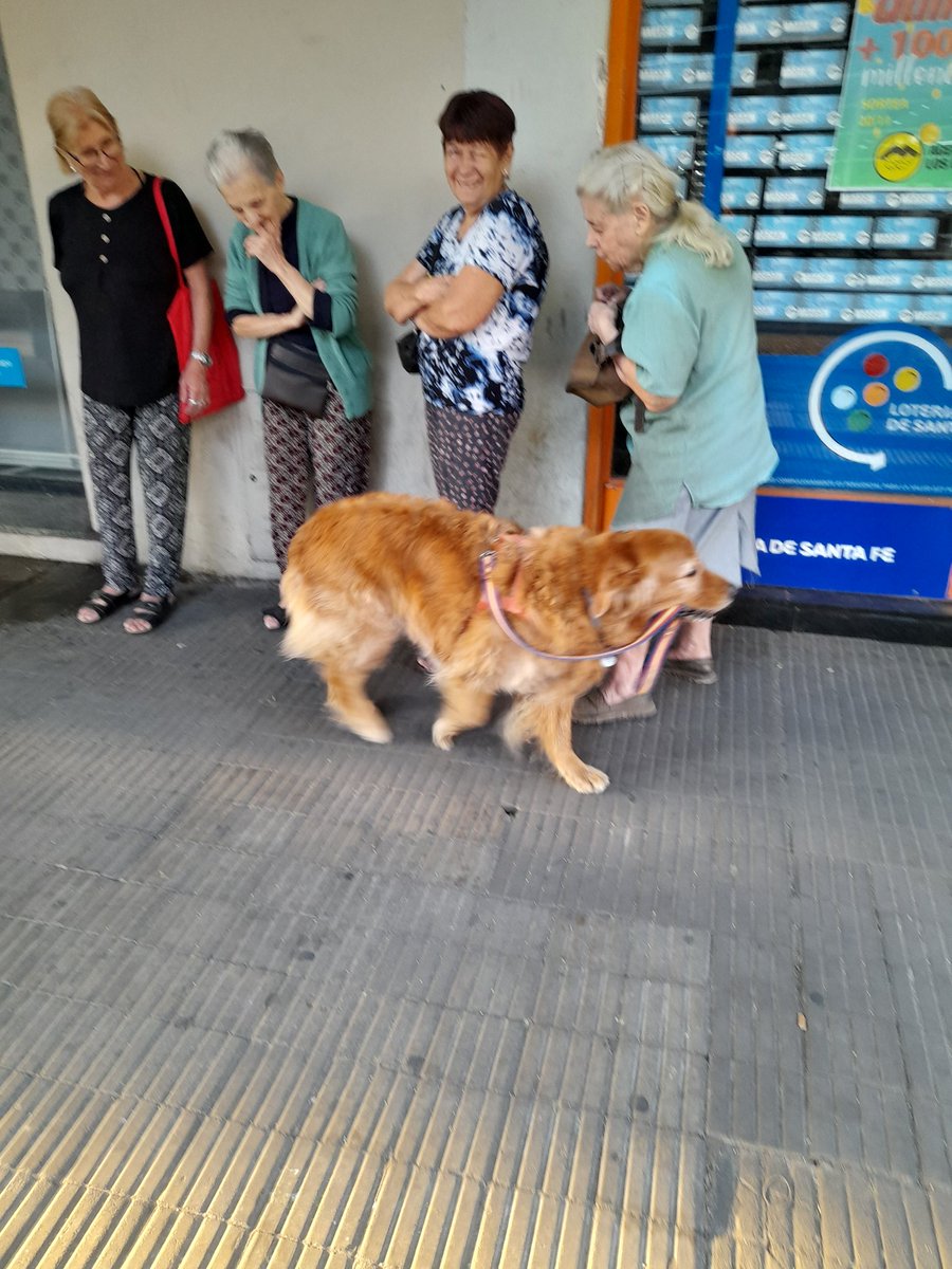 Estebanddo's tweet photo. Saludar jubilados en la cola del banco es su pasión https://t.co/3a8gMMfE6j
