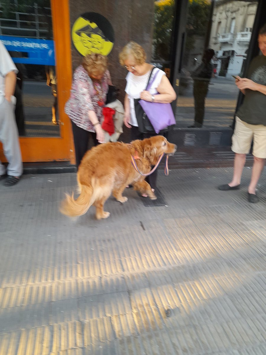 Estebanddo's tweet photo. Saludar jubilados en la cola del banco es su pasión https://t.co/3a8gMMfE6j