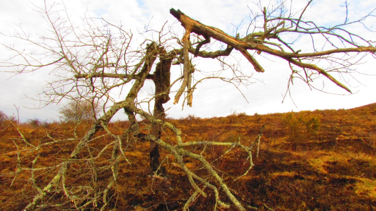 PAC laguntzek 2023an bortuetako hektareaka 80€ emanen ditu
Laborarien soldata ez da bataz-beste Smic era iristen Frantzian
Erabiliak ez diren zatiak ere erretzen dira beraz, laguntzen ukaiteko
Laborariak ere sistima toxiko honetan galtzaile dira