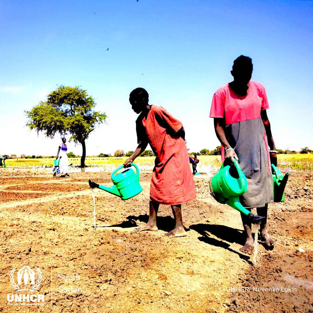 UNHCRSouthSudan's tweet photo.
📍Twic, Warrap
With tools, training, and seeds, UNHCR and partners are supporting vegetable farmers in #Warrap state.🍆⛏️🌱
UNHCR is empowering IDPs through small start-up projects such as these vegetable gardens.
With support from @uncerf
#Farming #SSOT https://t.co/4aBY383Cwk
