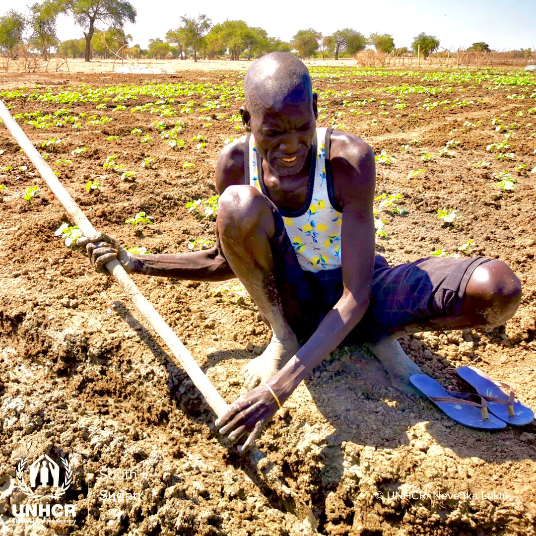 UNHCRSouthSudan's tweet photo.
📍Twic, Warrap
With tools, training, and seeds, UNHCR and partners are supporting vegetable farmers in #Warrap state.🍆⛏️🌱
UNHCR is empowering IDPs through small start-up projects such as these vegetable gardens.
With support from @uncerf
#Farming #SSOT https://t.co/4aBY383Cwk
