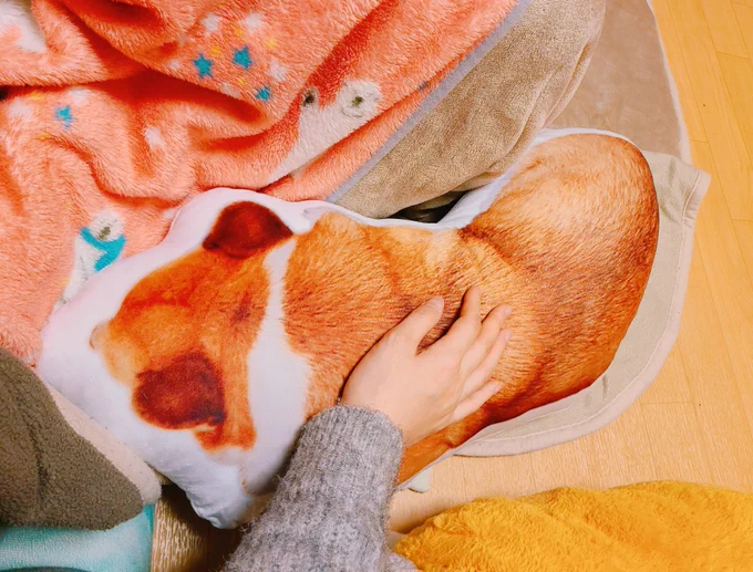 居る……!!!これは……居る!!!!!!!!! 