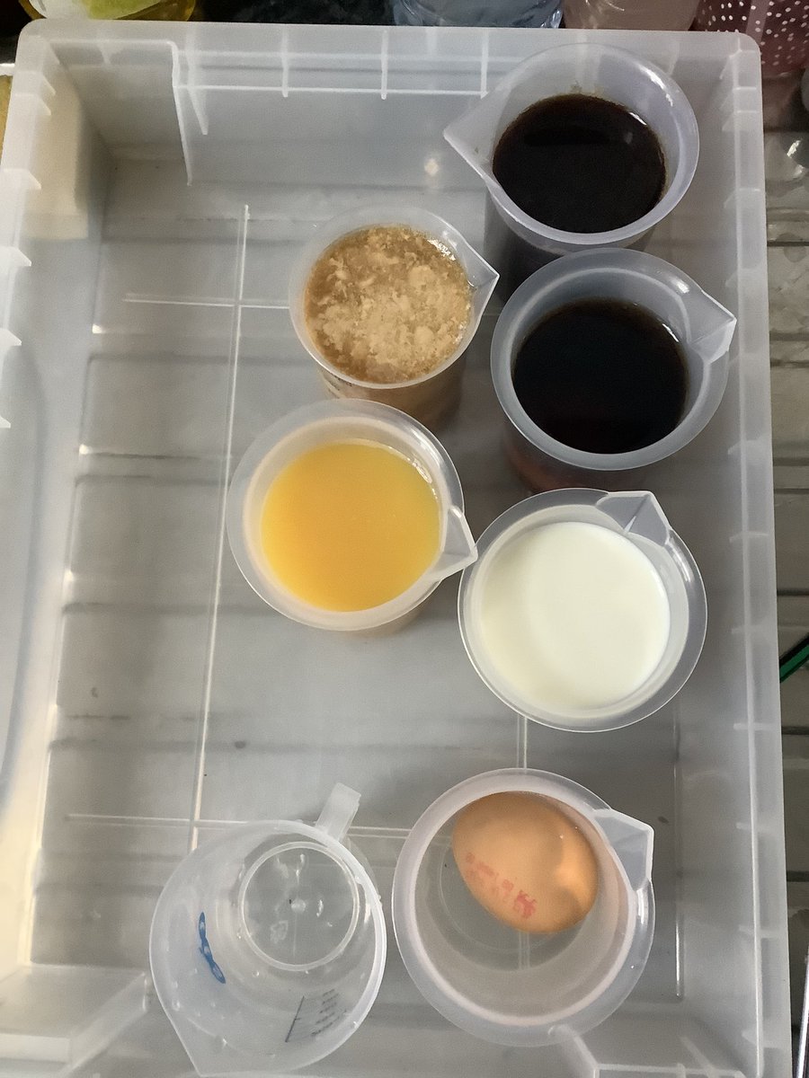HaseltineYear4's tweet photo. Year 4 investigated the effects of different liquids on your teeth using eggs.
#observationovertime #fairtest https://t.co/qiXtYitCGl