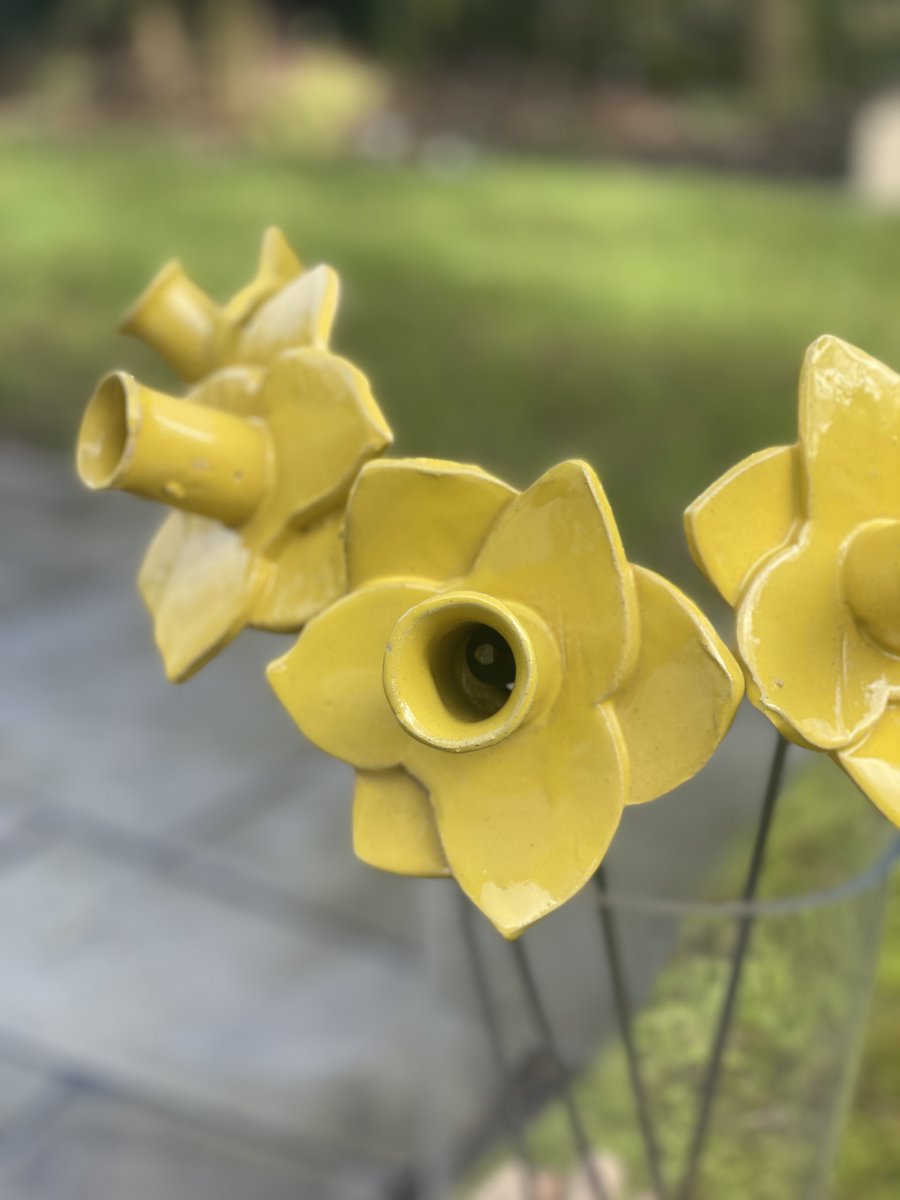 lowthercastle's tweet photo. The ceramic daffodils - which will form part of 10,000 Daffodils, art installation at Lowther Castle &amp; Gardens April24-June24 - go on sale 1st March. £25 each +p&amp;p. Wonderful charities will benefit. https://t.co/bBaIJ91fw5 #charity @JamesPlaceUK @NHyouthcentre @Sunbeams_Music https://t.co/9jPyaKPQvB