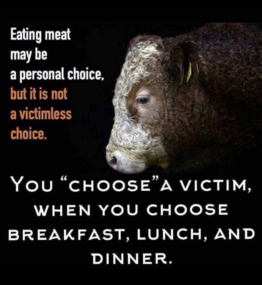 Don't choose to be cruel 😀

dontwatchofficial

#rebelvegan #rebelveganlife #itsnotfooditsviolence #endfactoryfarming #eatplantbased #vegancommunity #veganliving