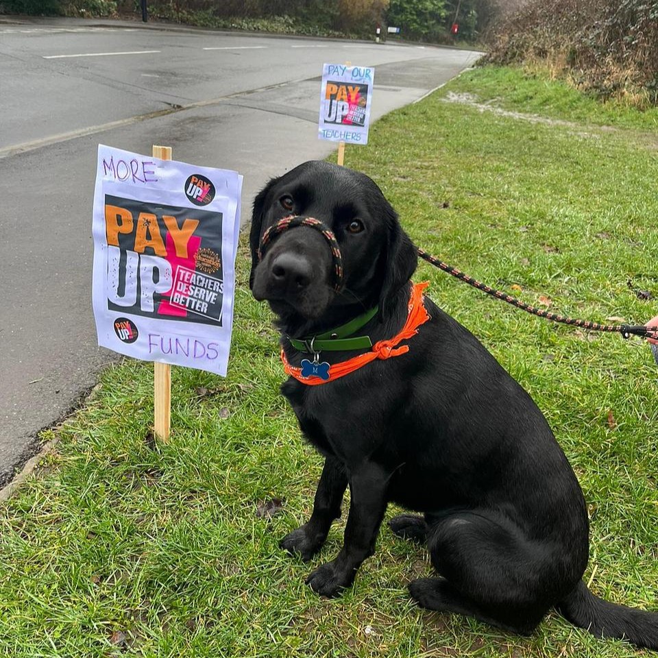 'Murphy supports everyone at Westfield school'

Good boy Murphy 🐕 #PayUp #SaveOurSchools