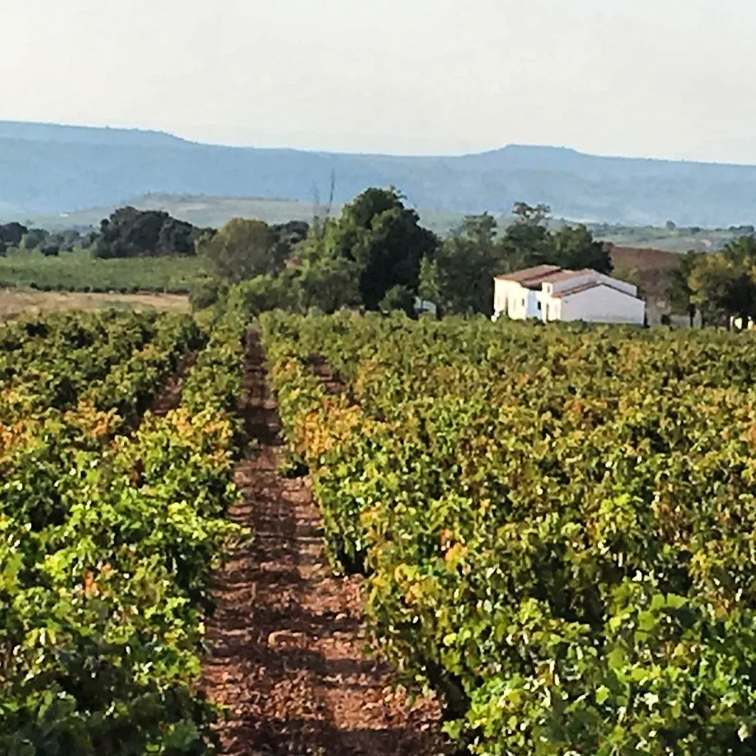 ceniceroturismo's tweet photo. 🍇🍷 | CAUDUM - BODEGAS LARRAZ

Ayer conocimos y visitamos Bodegas Larraz de la mano de su alma mater, Carlos Piserra.

La Bodega tiene un paisaje increíble a su alrededor y en 2017 le declararon la añada como Viñedo Singular de Rioja.

Muchas gracias Carlos por tú disposición. https://t.co/kuCIjRv9rU
