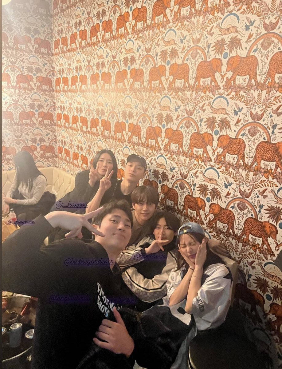 daisy han tweet media