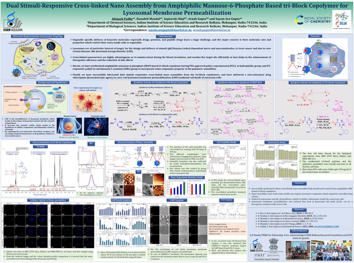 Abinash Padhy (@abinash_chem) on Twitter photo Glad to get opportunity to showcase our work at #RSCPoster 2023.
It is about the lysosome-targeted drug delivery of chloroquine using a stable cross-linked nanocarrier to achieve cancerous cell killing. #RSCChemBio #RSCNano
Thanks to <a href="/chem_basu/">Basudeb Mondal</a> <a href="/MajiSaptarshi/">Saptarshi Maji</a> <a href="/sayams/">Sayam Sen Gupta</a> <a href="/iiserkol/">IISER Kolkata</a> Glad to get opportunity to showcase our work at #RSCPoster 2023.
It is about the lysosome-targeted drug delivery of chloroquine using a stable cross-linked nanocarrier to achieve cancerous cell killing. #RSCChemBio #RSCNano
Thanks to <a href="/chem_basu/">Basudeb Mondal</a> <a href="/MajiSaptarshi/">Saptarshi Maji</a> <a href="/sayams/">Sayam Sen Gupta</a> <a href="/iiserkol/">IISER Kolkata</a>