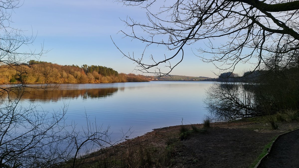 SkhTrains on Twitter "Just a few from last week's walk around