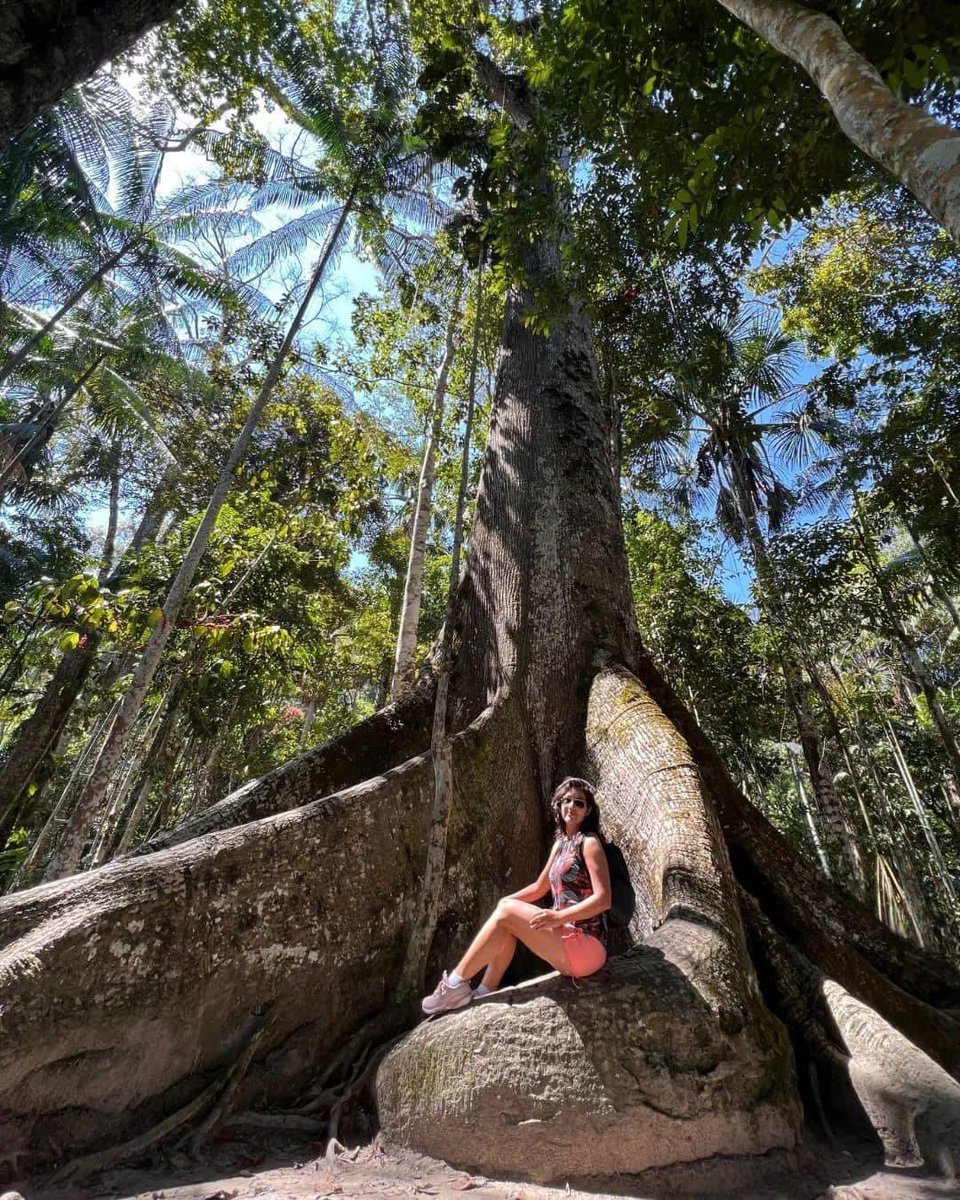 Esta gran diversidad lo encuentras en los Milagros Tingo Maria carretera central