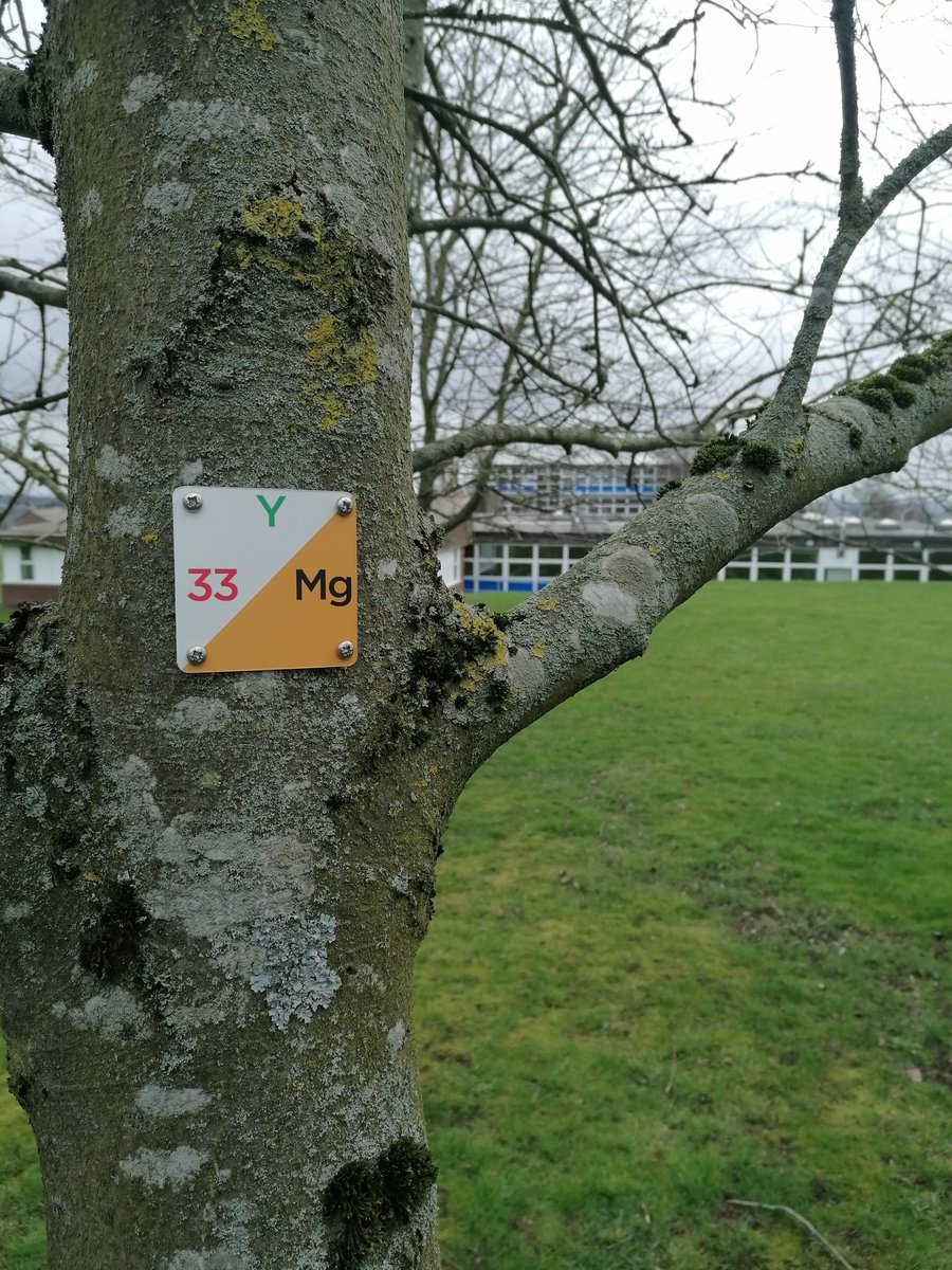 Mapping and installing markers at Thornhill Community Academy.