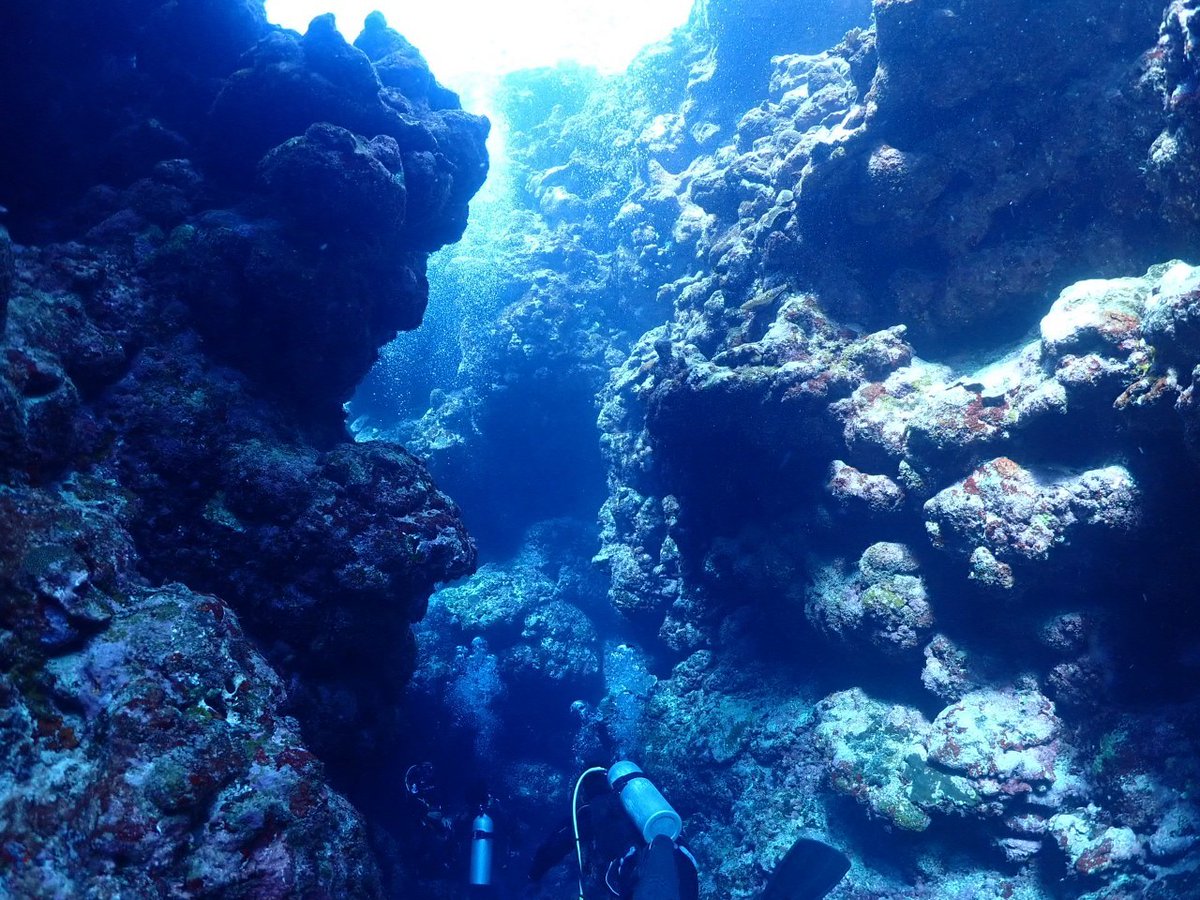 campfunamushi's tweet photo. 水中写真デビュー！
風景まとめ
#ス��ューバダイビング #ダイビング #沖縄 #久米島  #水中写真  #scuba #scubaphoto #scubadiving #padi #okinawa #underwater #photo #nudibranch #nature #natura #natural #ocean #seaslug https://t.co/rRo3eFVfCz