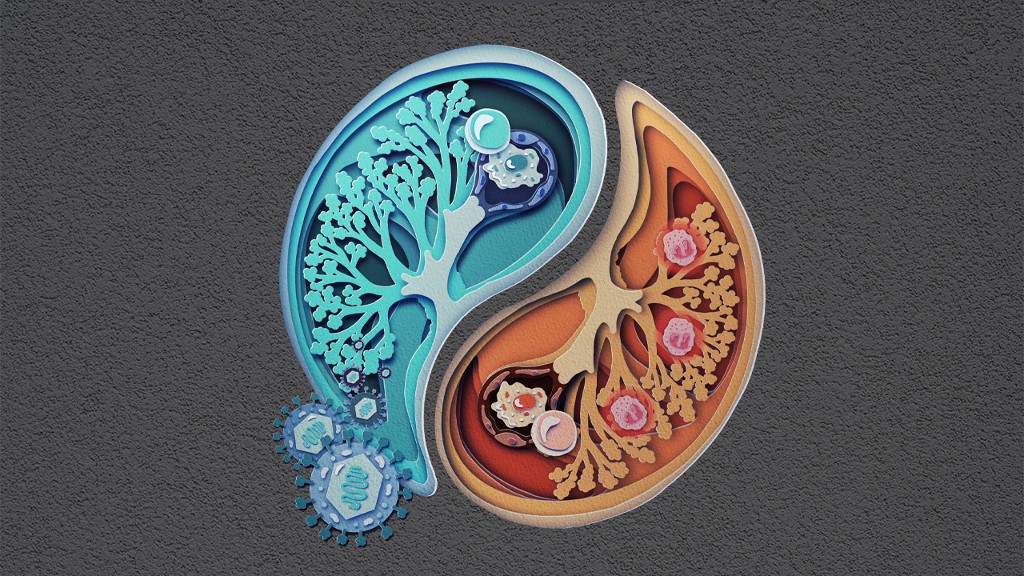 🩻Protection contre l’asthme allergique : une étude de chercheurs de l’ <a href="/UniversiteLiege/">Université de Liège</a>, dont Bénédicte Machiels, Chercheuse qualifiée <a href="/frsFNRS/">F.R.S.-FNRS</a> sur les cellules lymphoïdes innées de groupe 2 (ou ILC2s).
➕ En savoir plus : farah.uliege.be/cms/c_10796829…