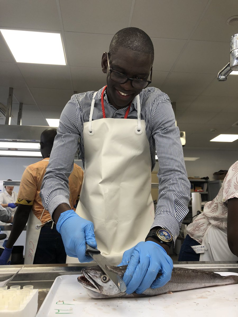 oceandebs's tweet photo. #happeningnow #EAFnansen workshop on processing of biological samples of #hakes for #stockidentification analysis at #IOE #tenerife #faofish https://t.co/JjLZ6nJh1z