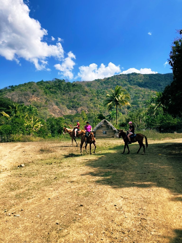 AnleyRosales's tweet photo. Horse back riding tours in the Sierra Maestra, Bartolomé Masó, Granma, Cuba. While enjoying history,nature  Cuban &amp; countryside life you can support locals. Share with them their daily life &amp; more.
.
.
.
.
#cuba #sierramaestracuba #countryside #horsebackriding #tours #experience https://t.co/msPCX34Tka