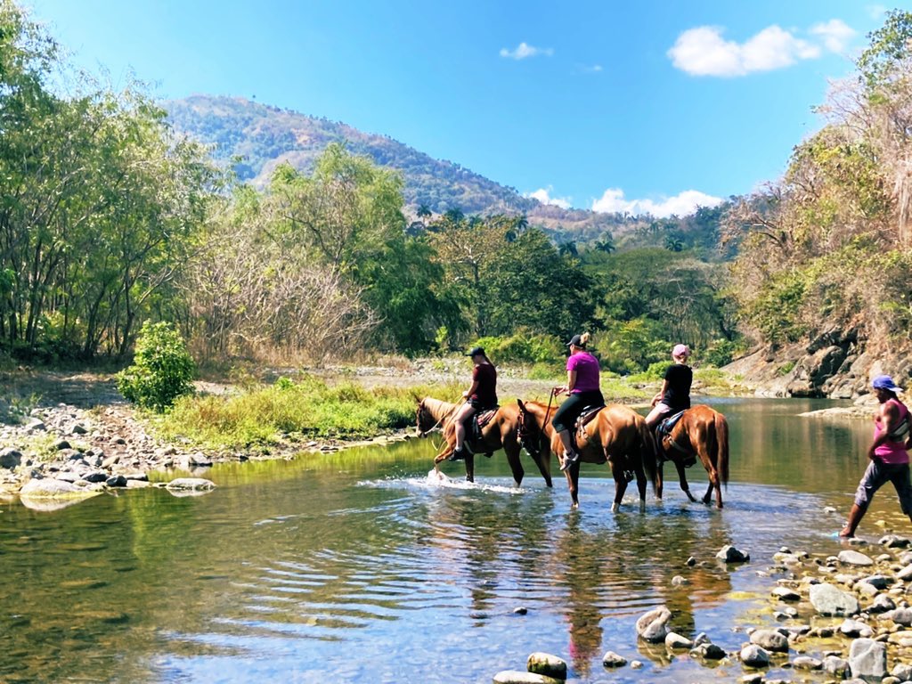 AnleyRosales's tweet photo. Horse back riding tours in the Sierra Maestra, Bartolomé Masó, Granma, Cuba. While enjoying history,nature  Cuban &amp; countryside life you can support locals. Share with them their daily life &amp; more.
.
.
.
.
#cuba #sierramaestracuba #countryside #horsebackriding #tours #experience https://t.co/msPCX34Tka
