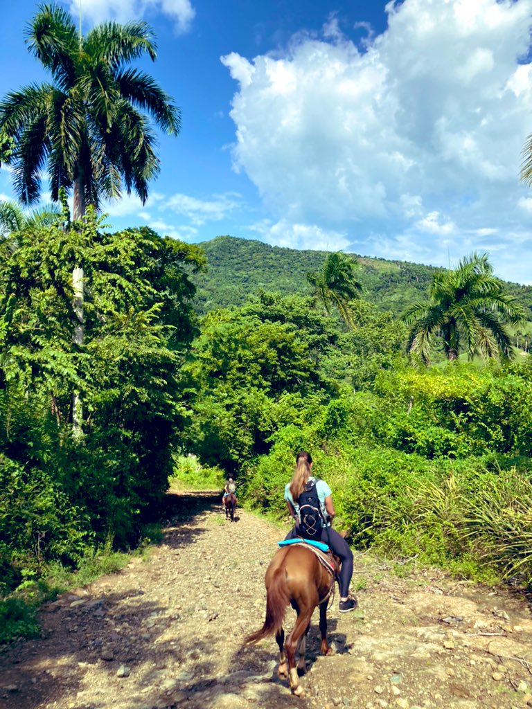 AnleyRosales's tweet photo. Horse back riding tours in the Sierra Maestra, Bartolomé Masó, Granma, Cuba. While enjoying history,nature  Cuban &amp; countryside life you can support locals. Share with them their daily life &amp; more.
.
.
.
.
#cuba #sierramaestracuba #countryside #horsebackriding #tours #experience https://t.co/msPCX34Tka