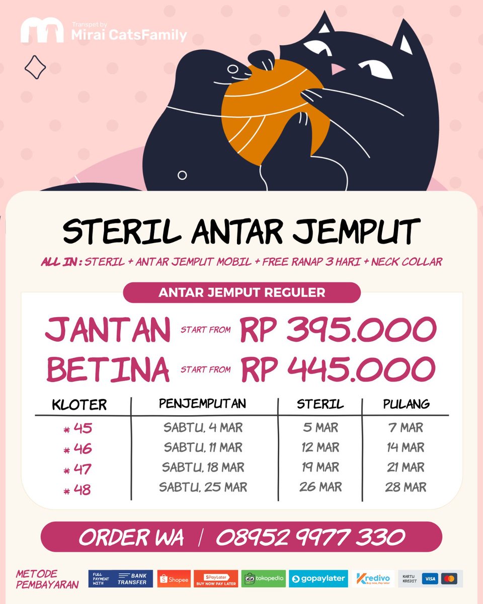 miraicatsfam's tweet photo. STERIL KUCING ANTAR JEMPUT
MARET 2023
📍 Jemput Jabodetabek-Tangsel-Kab Tangerang
📍Jakarta flat sesuai poster

💳Full payment/cicil/cash pas jemput
🆓Ranap 3 hari 
🆓Neck Collar
🆓Pinjam Cargo/Rio

Kliniknya di Ciracas &amp; Grogol

S &amp; K, Cek thread
https://t.co/HkIXXYoWOj https://t.co/4eoXw9jwbr