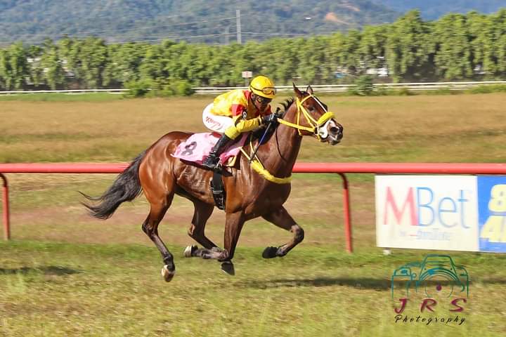 #StrivingforGreatness🚀🐎🙏